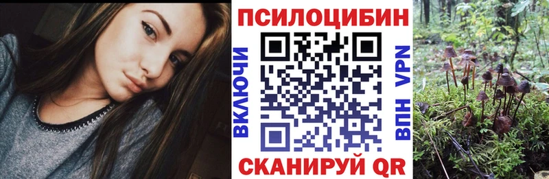 Галлюциногенные грибы Psilocybe  Баймак 